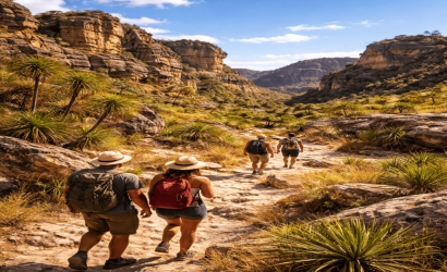 Explore lush rainforests and spot rare wildlife including lemurs, chameleons, and tropical birds.